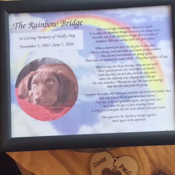 👖Distressed NATURALLY HOLLISTER JEANS 32 X 32 - Picture 11 of 15